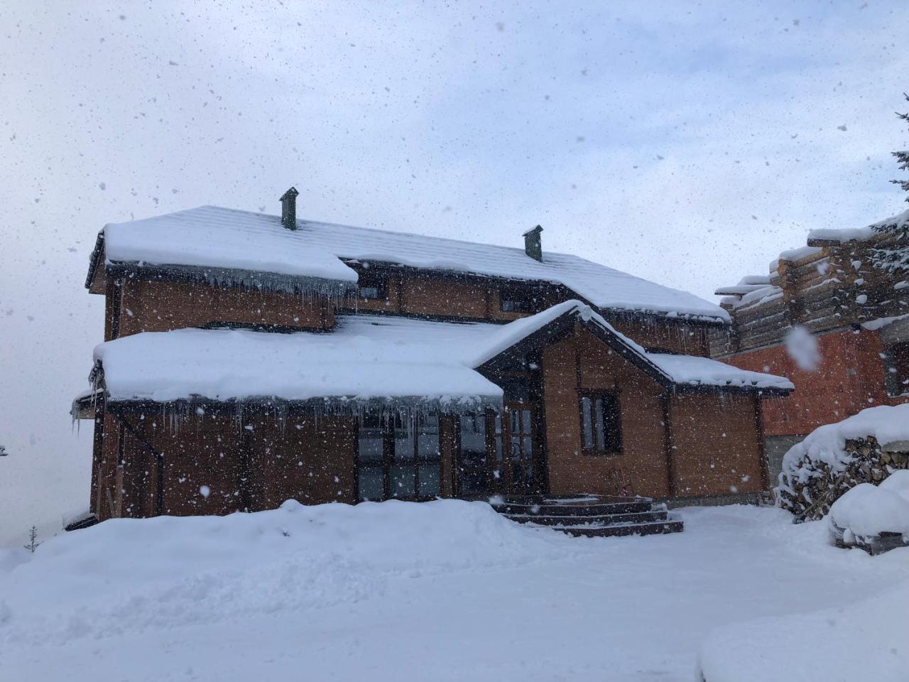 Golden Nest Apartment Yablunytsya Luaran gambar